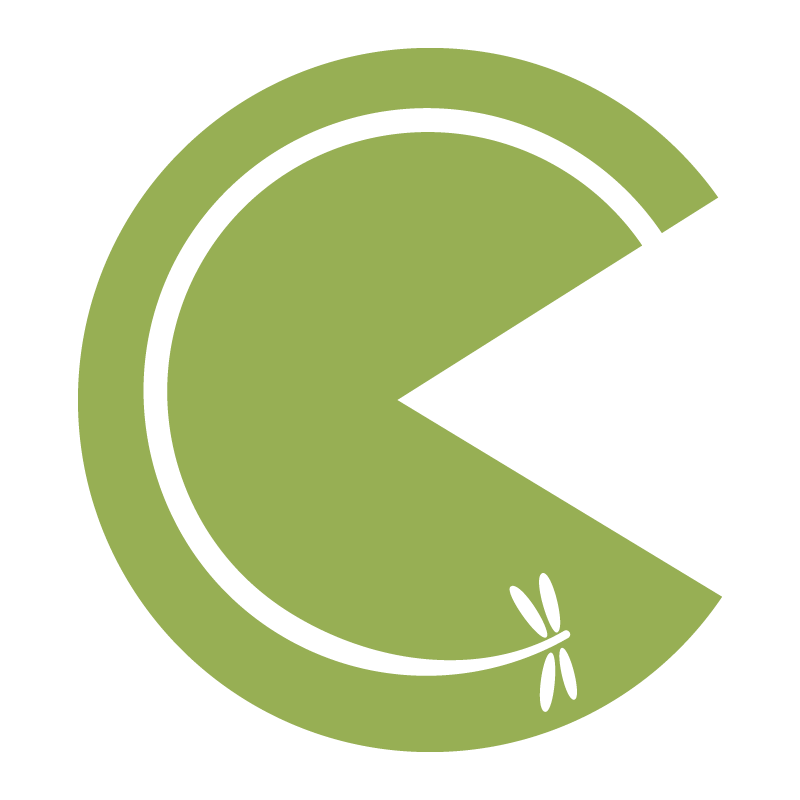 PacMan 4